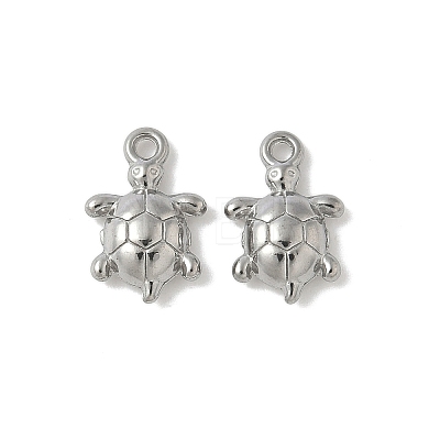 304 Stainless Steel Charms STAS-F320-01B-P-1