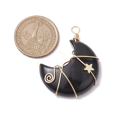 Natural Obsidian Copper Wire Wrapped Pendants PALLOY-JF02685-02-1
