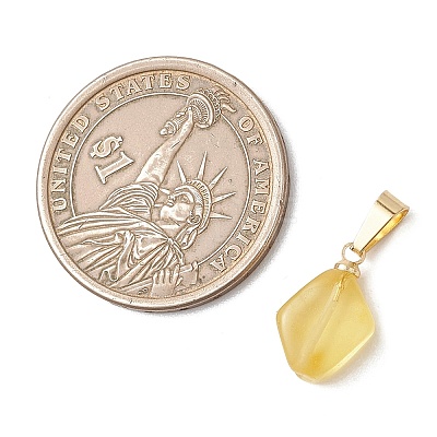 Natural Amber Pendants PALLOY-JF05157-1