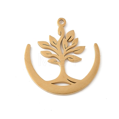 304 Stainless Steel Pendants STAS-V016-21G-1