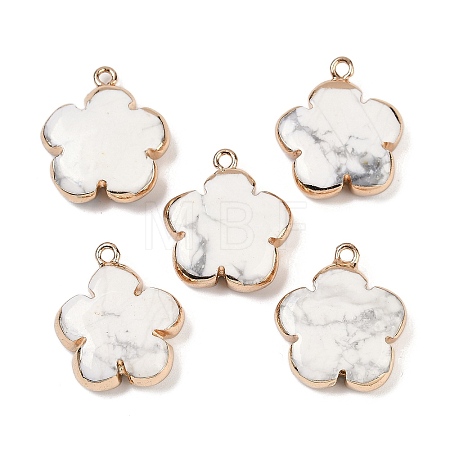Natural Howlite Pendants G-P566-01G-13-1