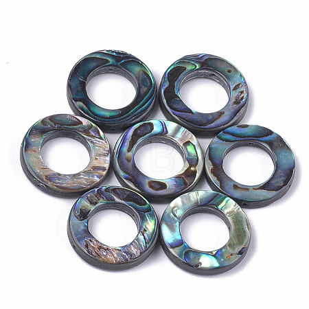 Abalone Shell/Paua Shell Bead Frames SSHEL-T008-17-1