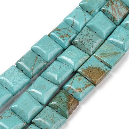 Natural Magnesite Beads Strands TURQ-K003-06A-1