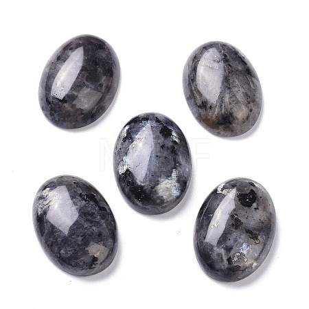 Natural Black Larvikite Cabochons X-G-Z020-10-1