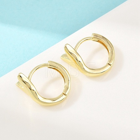 Brass Hoop Earrings EJEW-D348-27G-1