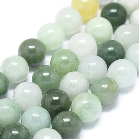 Natural Jadeite Beads Strands G-G789-01B-1