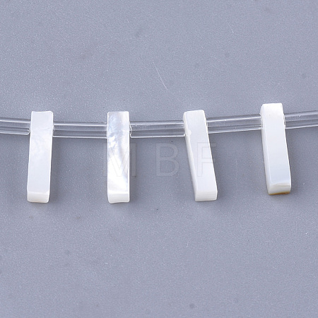Natural Sea Shell Beads X-SHEL-T012-60I-1