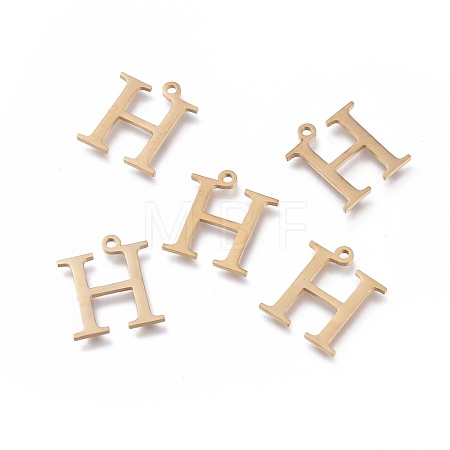 304 Stainless Steel Charms STAS-K215-02G-1