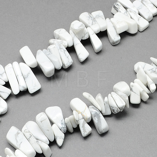 Natural Howlite Stone Bead Strands G-R191-08-1