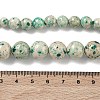 Natural Fossil Graduated Beads Strands G-F830-A03-01C-6