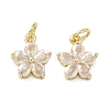 Brass Micro Pave Clear Cubic Zirconia Charms X-KK-F930-02G-1