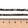 Natural Iolite Beads Strands G-G343-B01-3mm-5