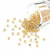 8/0 Glass Seed Beads X2-SEED-A005-3mm-22-1