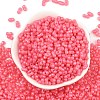 Baking Paint Glass Seed Beads SEED-L011-09A-16-2