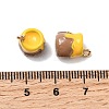 Alloy Enamel Charms FIND-C077-01-3