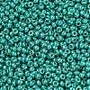 MIYUKI Round Rocailles Beads X-SEED-G007-RR5106-2