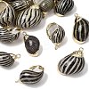 Brass & Natural Shell Pendants SH-CBA27C9-01-1
