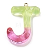 Resin Pendant LS-FIND-Q107-01J-03-1