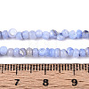Natural Freshwater Shell Dyed Beads Strands SHEL-T020-29B-01-4