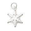 925 Sterling Silver Pendants STER-Q003-01B-S-1