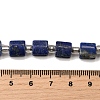Natural Lapis Lazuli Beads Strands G-Z087-D01-5