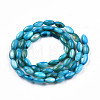 Natural Freshwater Shell Beads Strands SHEL-N026-212-B02-2