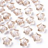Transparent Acrylic Beads TACR-S152-02A-760-1