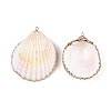 Natural Scallop Shell Big Pendants SSHEL-N038-13-2