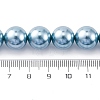 Shell Pearl Beads Strands BSHE-K015-12mm-02-2