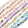 7 strands 7 colors Drawbench Freshwater Shell Beads Strands SHEL-CA0001-010-1