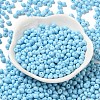 6/0 Opaque Baking Paint Glass Seed Beads X1-SEED-M012-02A-13-2