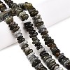 Natural Labradorite Beads Strands G-T141-09-2