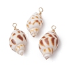 Natural Spiral Shell Pendants PALLOY-JF02949-4