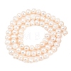 Natural Cultured Freshwater Pearl Beads Strands PEAR-D003-01C-02-3