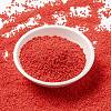 MIYUKI Round Rocailles Beads SEED-G009-RR0407-2
