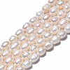 Natural Cultured Freshwater Pearl Beads Strands PEAR-N012-07B-2