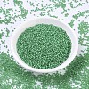 MIYUKI Round Rocailles Beads SEED-JP0008-RR0646-2