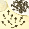 Tibetan Style Alloy Pendants PALLOY-N0118-146-5