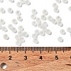 8/0 Glass Seed Beads SEED-Z001-C-E08-4