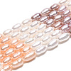 Three Color Natural Cultured Freshwater Pearl Beads Strands PEAR-N012-02C-01-2