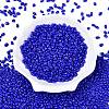 Baking Paint Glass Seed Beads SEED-T006-03-01-1