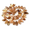 Natural Citrine(Heated) Beads Strands G-P604-A25-01-3