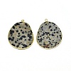 Natural Dalmatian Jasper Pendants G-E526-09E-1