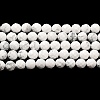 Natural Howlite Beads Strands G-E608-A01-C-2