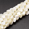 Natural Trochid Shell/Trochus Shell Beads Strands SSHEL-K012-04A-1