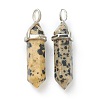 Natural Dalmatian Jasper Pointed Pendants G-M378-01P-A10-2