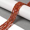 Natural South Red Agate Beads Strands G-B090-A04-03-2