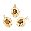 Natural Tiger Eye Pendants KK-N289-01G-1
