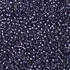 TOHO Round Seed Beads X-SEED-TR11-0265-2