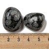 Natural Snowflake Obsidian Beads G-G123-04-3